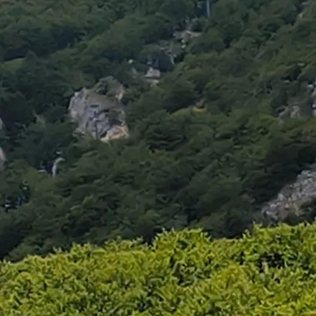 Dima Ξενοδοχείο με διαμερίσματα